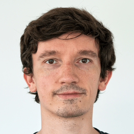 Wieland Brendel